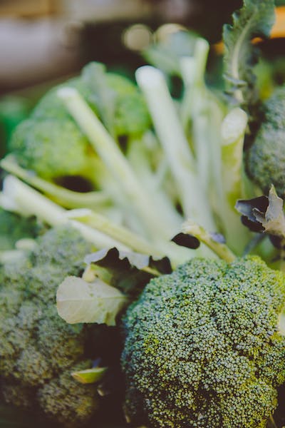 Broccoli - Sunshine Coast Farm Foods