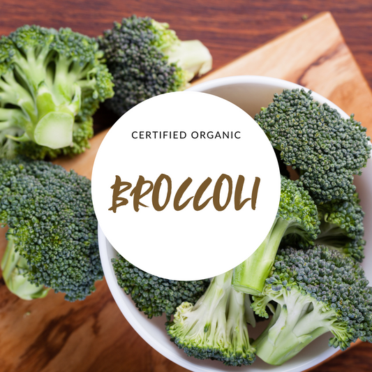 Broccoli - Good Harvest