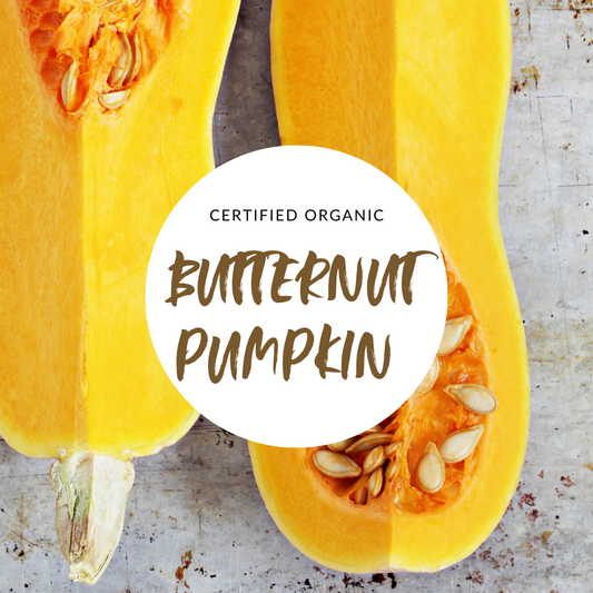 Pumpkin Butternut 1k - Good Harvest