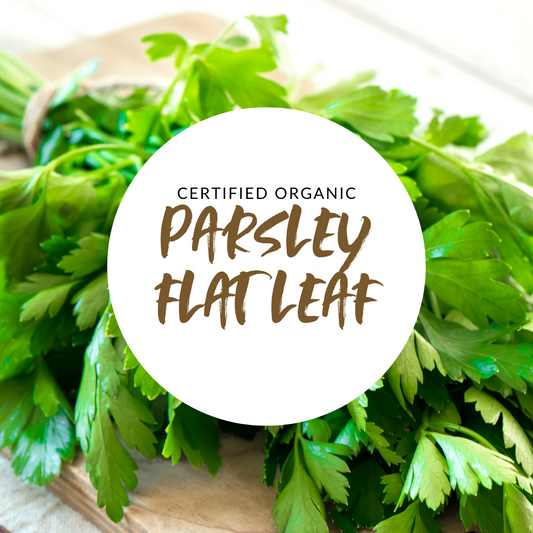 Parsley - Good Harvest