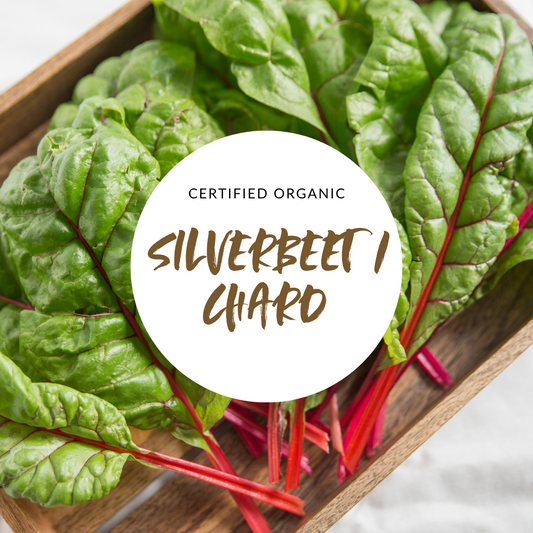 Silverbeet/Chard - Good Harvest