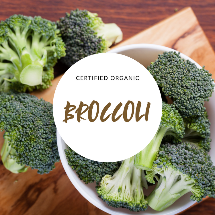 Broccoli - Good Harvest