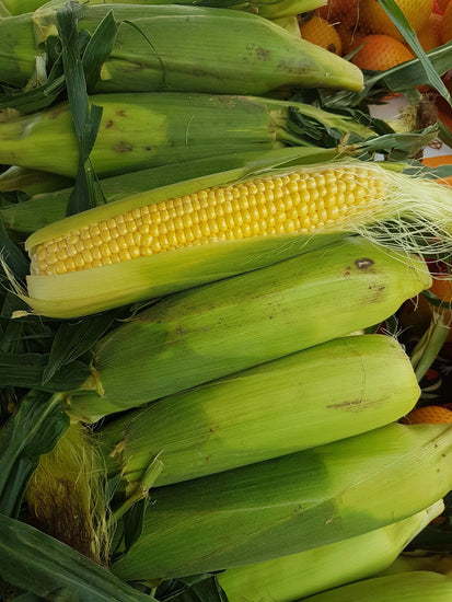 corn